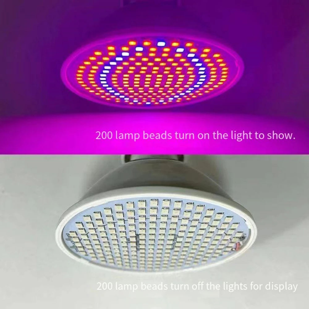 LED skönhetslampa med rött och blått ljus, 200 pärlor – mot akne och för förbättrad hud